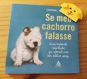 cachorro.jpg